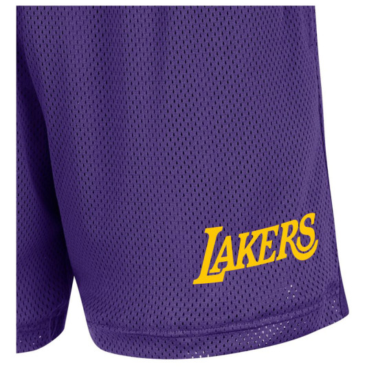 Nike Ανδρικό σορτς Los Angeles Lakers NBA Mesh Shorts
